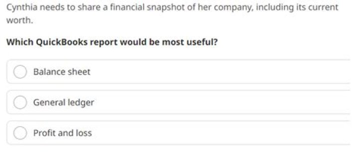 Unlock Financial Clarity: Cynthia's Financial Snapshot For Her Enterprise