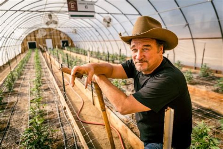 Jim Belushi's Farm Flourishes: Unveiling His Net Worth