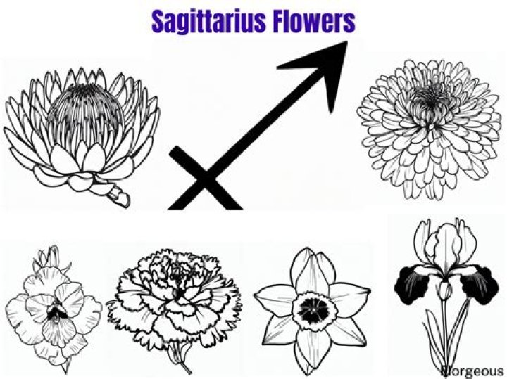 The Unforgettable Sagittarius Flower: A Guide To Its Meaning And Benefits